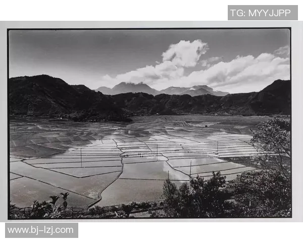 探索阿拉巴的历史与文化魅力，揭示这片土地的独特风景与人文故事