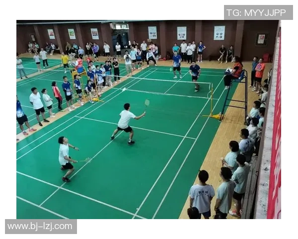 南京羽毛球队个人能力分析与发展探讨聚焦运动员成长与团队协作